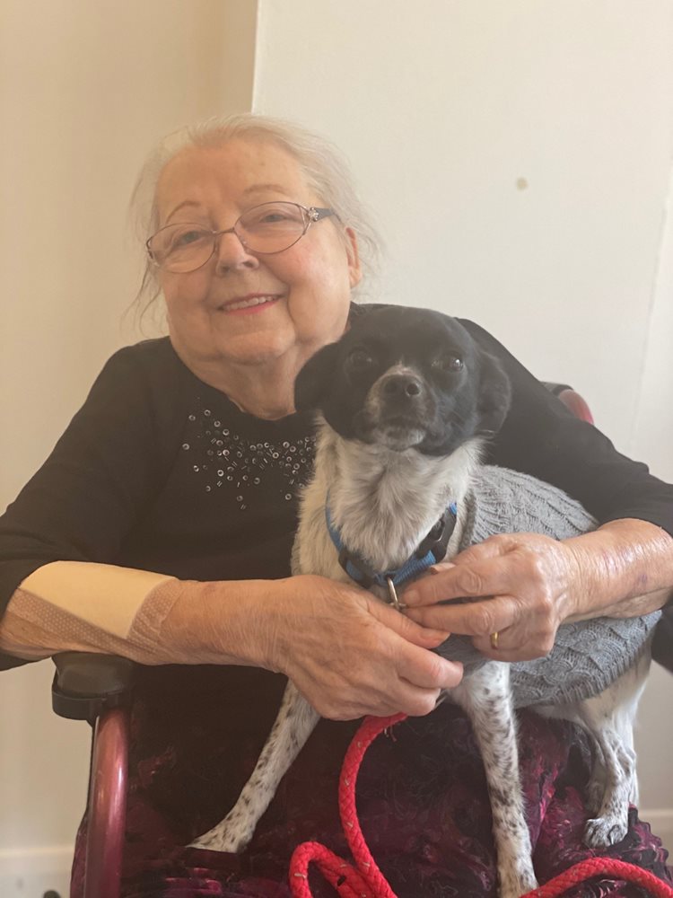 Local care home sets tongues a-wagging with new canine relations manager